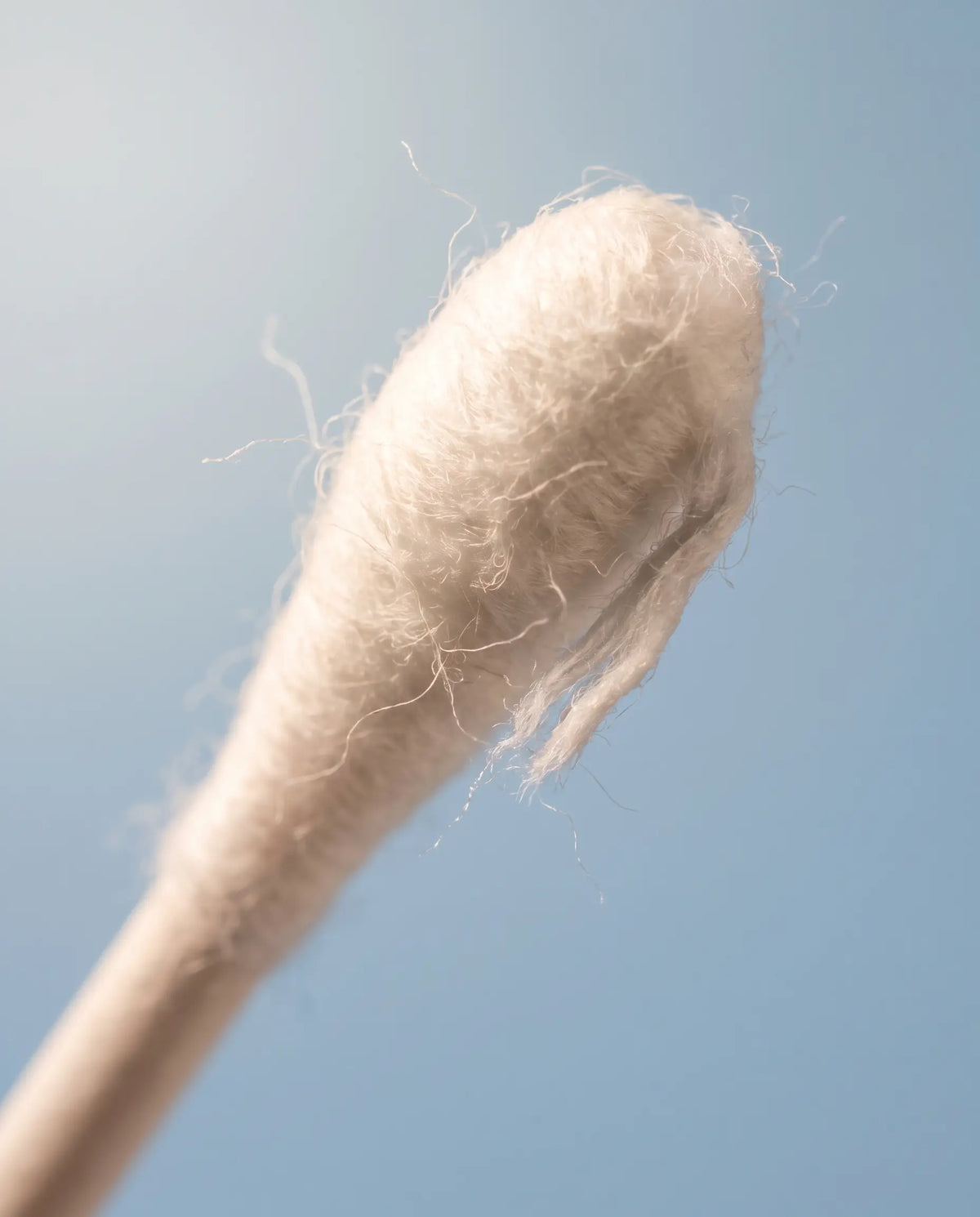 Cotton